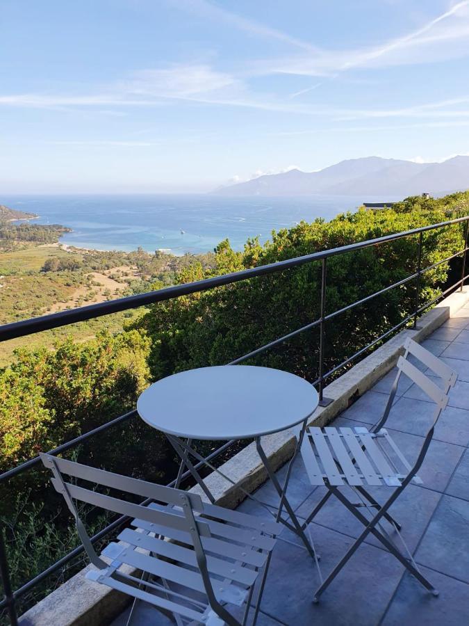 Les Hauts De Fromentica Saint-Florent (Corsica) Exterior photo